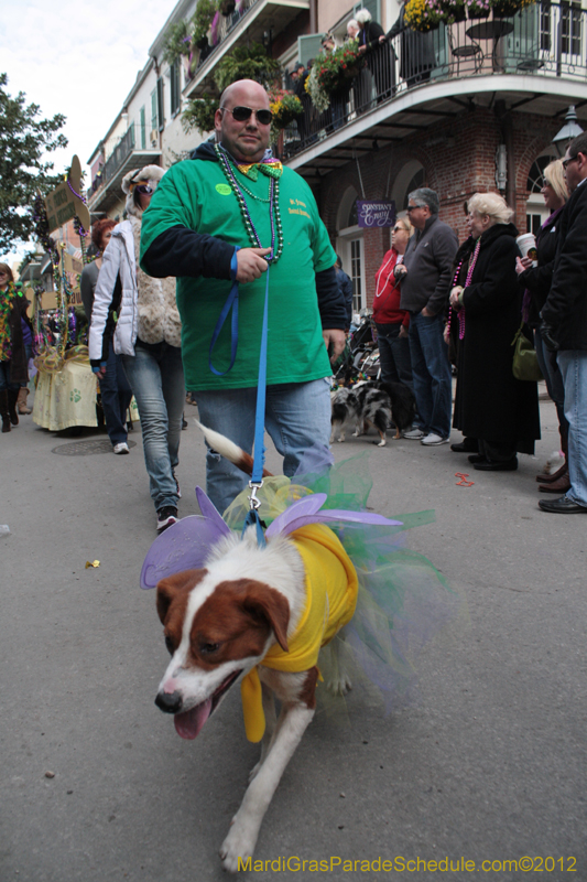 Mystic-Krewe-of-Barkus-2012-0337