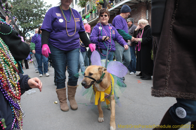 Mystic-Krewe-of-Barkus-2012-0339