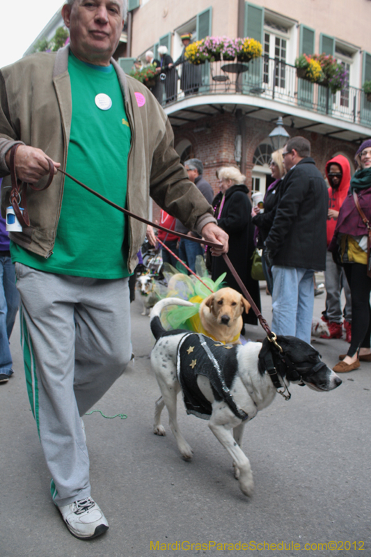 Mystic-Krewe-of-Barkus-2012-0340