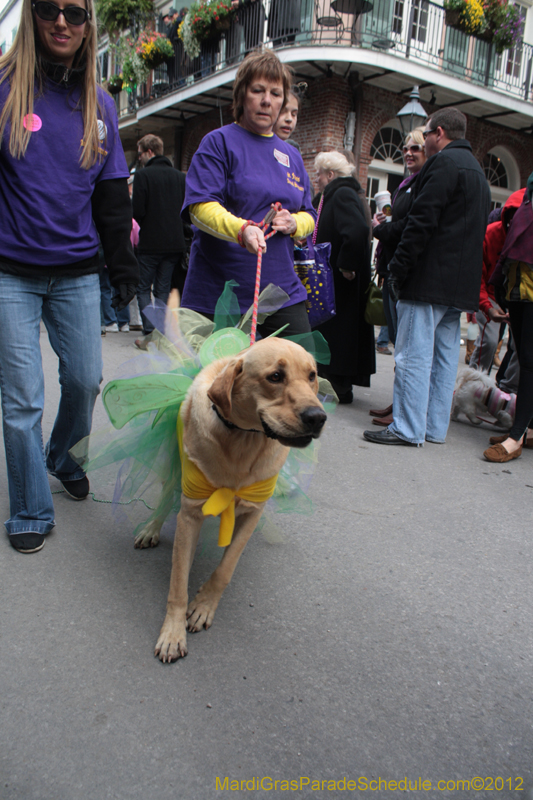 Mystic-Krewe-of-Barkus-2012-0341