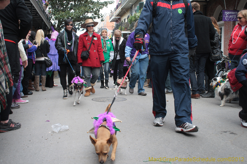 Mystic-Krewe-of-Barkus-2012-0342