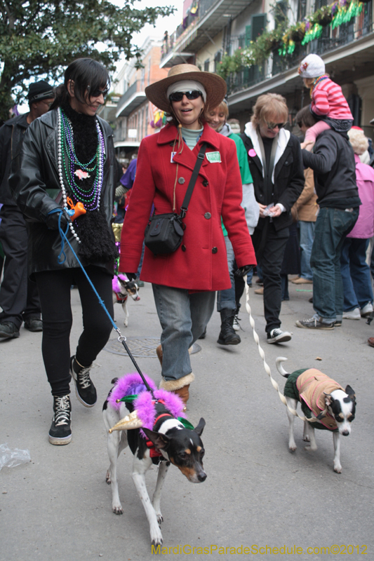 Mystic-Krewe-of-Barkus-2012-0343