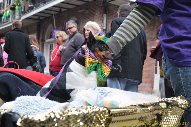 Mystic-Krewe-of-Barkus-2012-0345