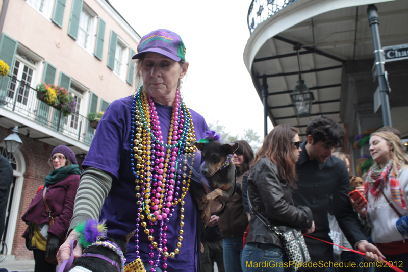 Mystic-Krewe-of-Barkus-2012-0346