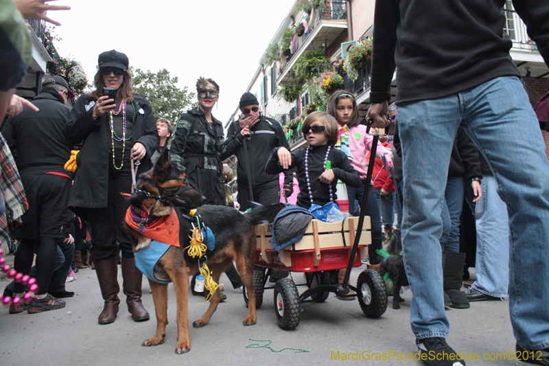 Mystic-Krewe-of-Barkus-2012-0355