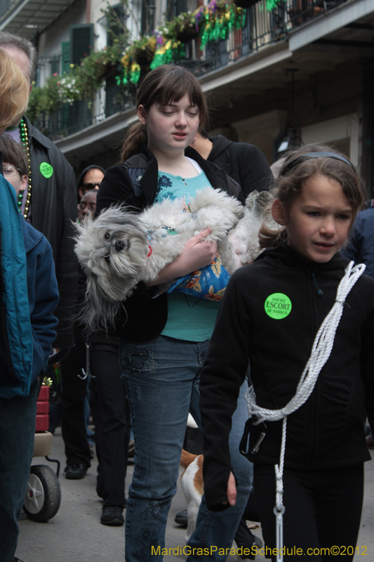 Mystic-Krewe-of-Barkus-2012-0356