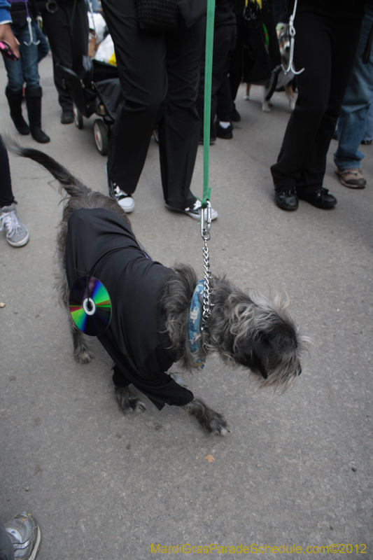 Mystic-Krewe-of-Barkus-2012-0357