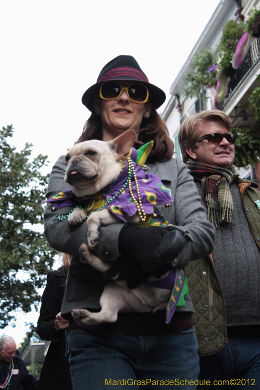 Mystic-Krewe-of-Barkus-2012-0359