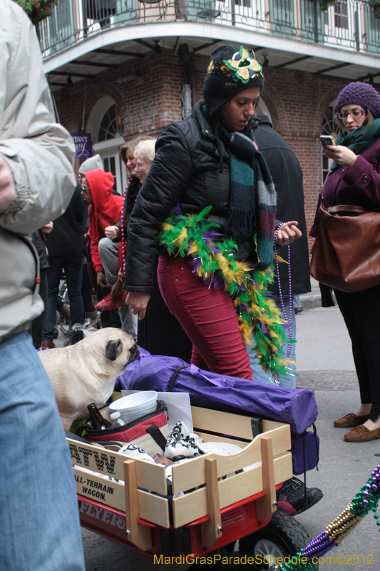 Mystic-Krewe-of-Barkus-2012-0362