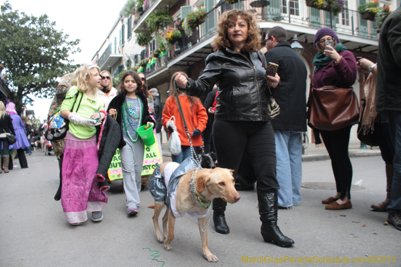 Mystic-Krewe-of-Barkus-2012-0363