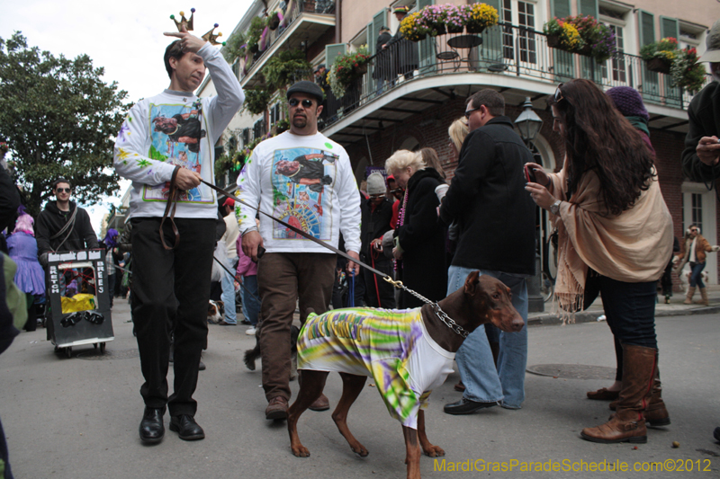 Mystic-Krewe-of-Barkus-2012-0366