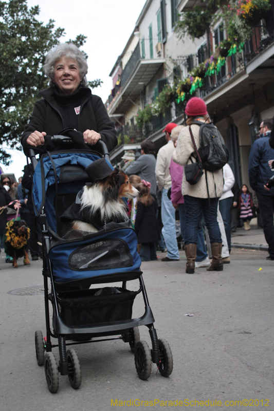 Mystic-Krewe-of-Barkus-2012-0368