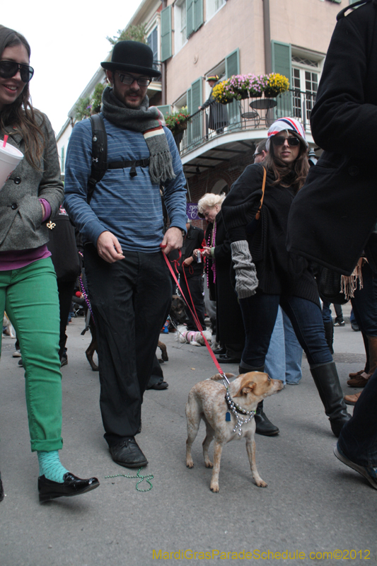 Mystic-Krewe-of-Barkus-2012-0370