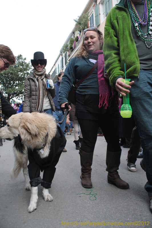 Mystic-Krewe-of-Barkus-2012-0371