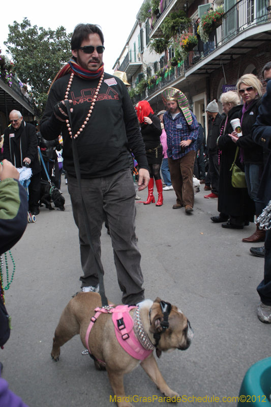 Mystic-Krewe-of-Barkus-2012-0375