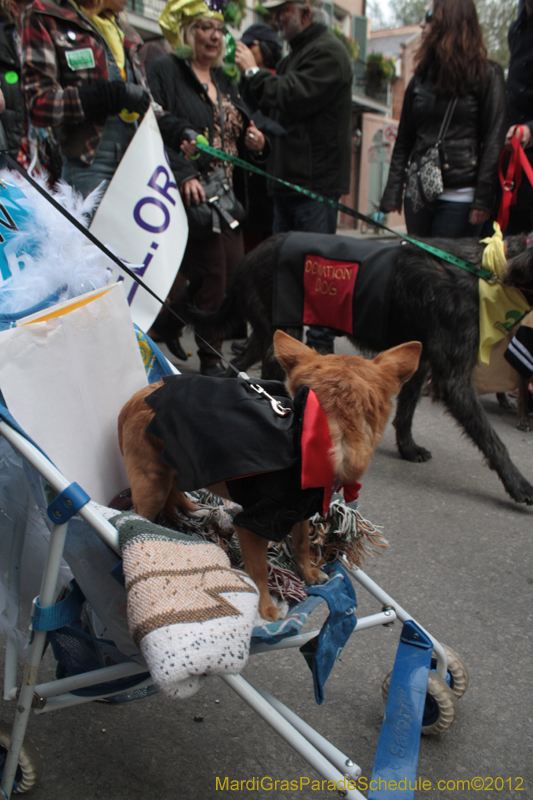 Mystic-Krewe-of-Barkus-2012-0376