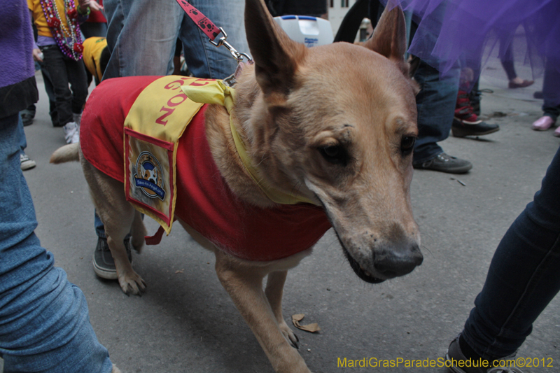 Mystic-Krewe-of-Barkus-2012-0377