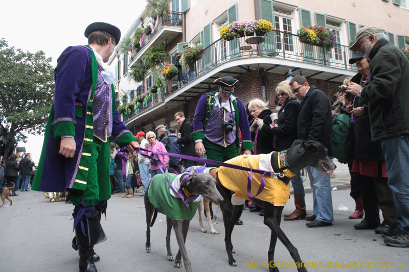 Mystic-Krewe-of-Barkus-2012-0379