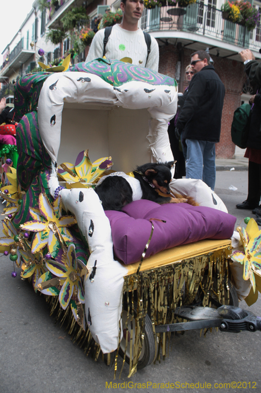 Mystic-Krewe-of-Barkus-2012-0380