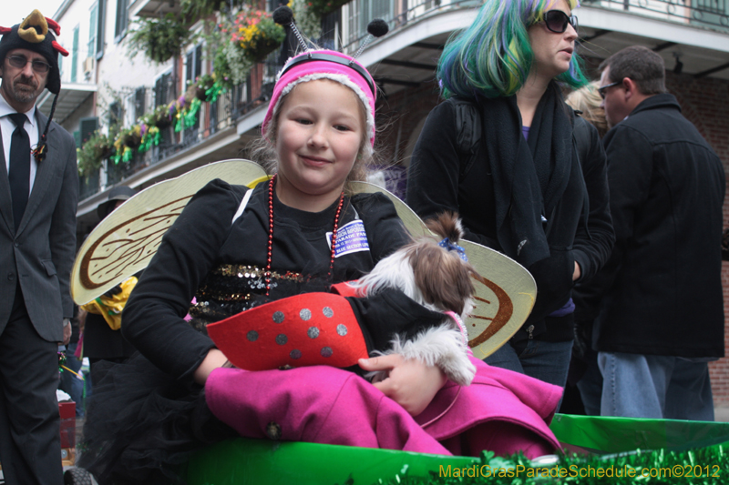 Mystic-Krewe-of-Barkus-2012-0381