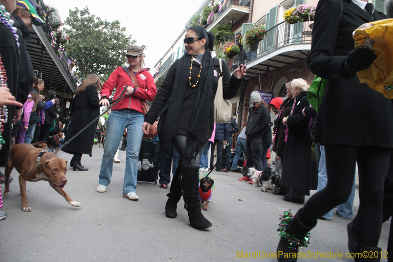 Mystic-Krewe-of-Barkus-2012-0383