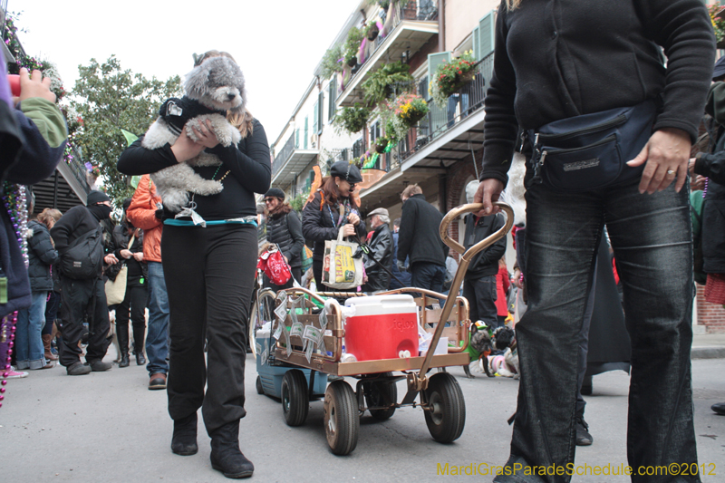 Mystic-Krewe-of-Barkus-2012-0386