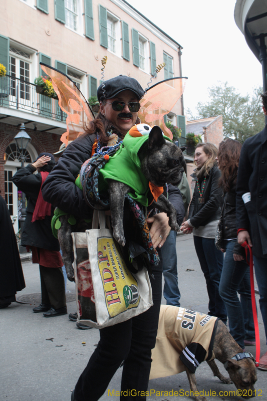 Mystic-Krewe-of-Barkus-2012-0388