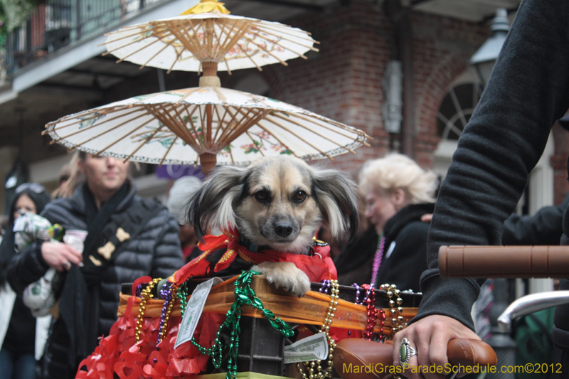 Mystic-Krewe-of-Barkus-2012-0389