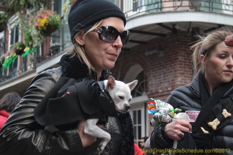 Mystic-Krewe-of-Barkus-2012-0390