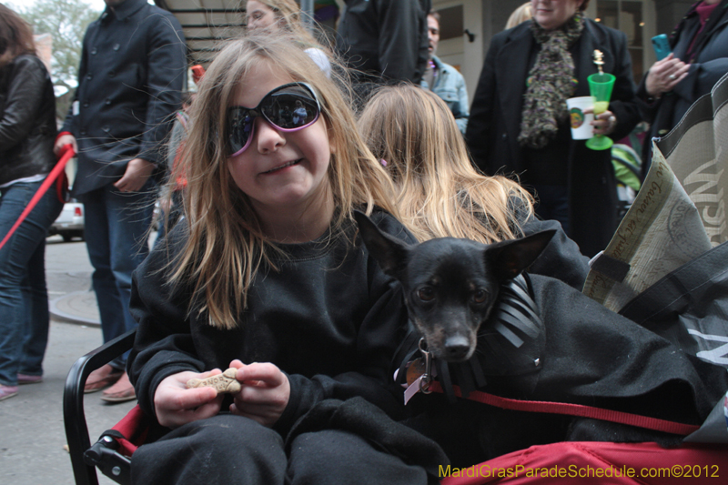 Mystic-Krewe-of-Barkus-2012-0391