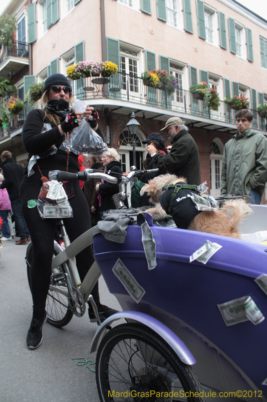 Mystic-Krewe-of-Barkus-2012-0392