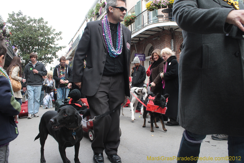 Mystic-Krewe-of-Barkus-2012-0393