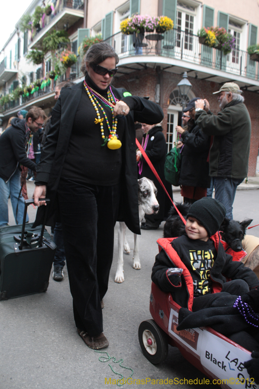 Mystic-Krewe-of-Barkus-2012-0394