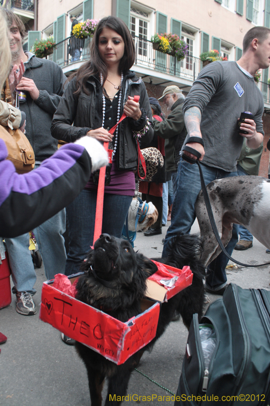 Mystic-Krewe-of-Barkus-2012-0395