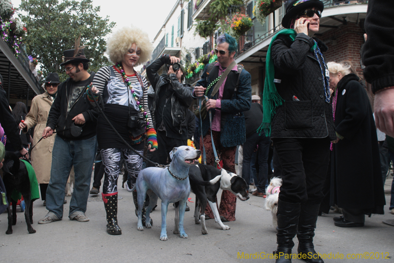 Mystic-Krewe-of-Barkus-2012-0396