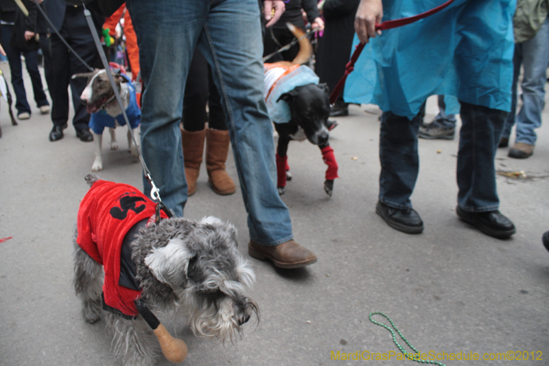 Mystic-Krewe-of-Barkus-2012-0401