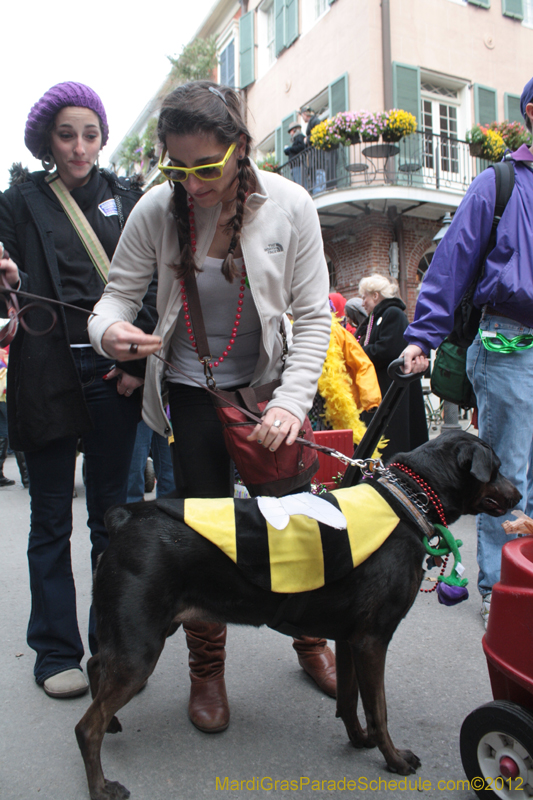 Mystic-Krewe-of-Barkus-2012-0404