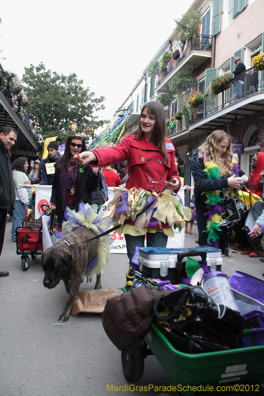 Mystic-Krewe-of-Barkus-2012-0405