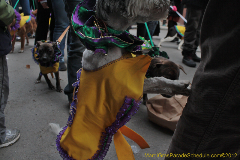 Mystic-Krewe-of-Barkus-2012-0407