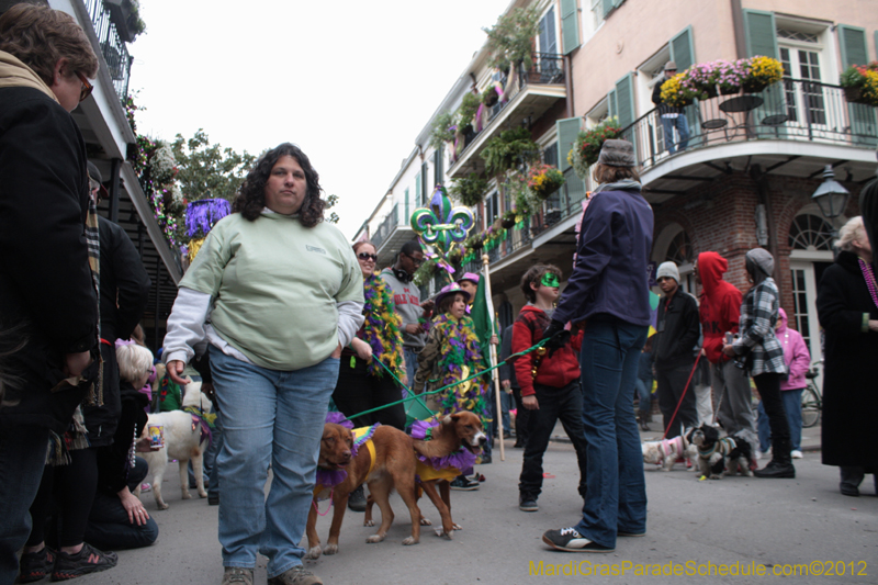 Mystic-Krewe-of-Barkus-2012-0411