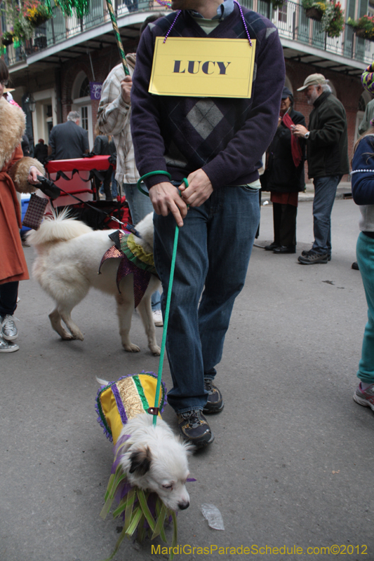 Mystic-Krewe-of-Barkus-2012-0413