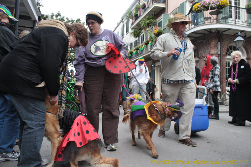 Mystic-Krewe-of-Barkus-2012-0415