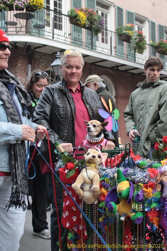 Mystic-Krewe-of-Barkus-2012-0418