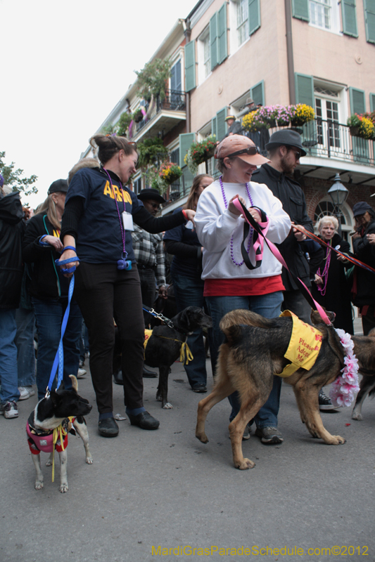 Mystic-Krewe-of-Barkus-2012-0426