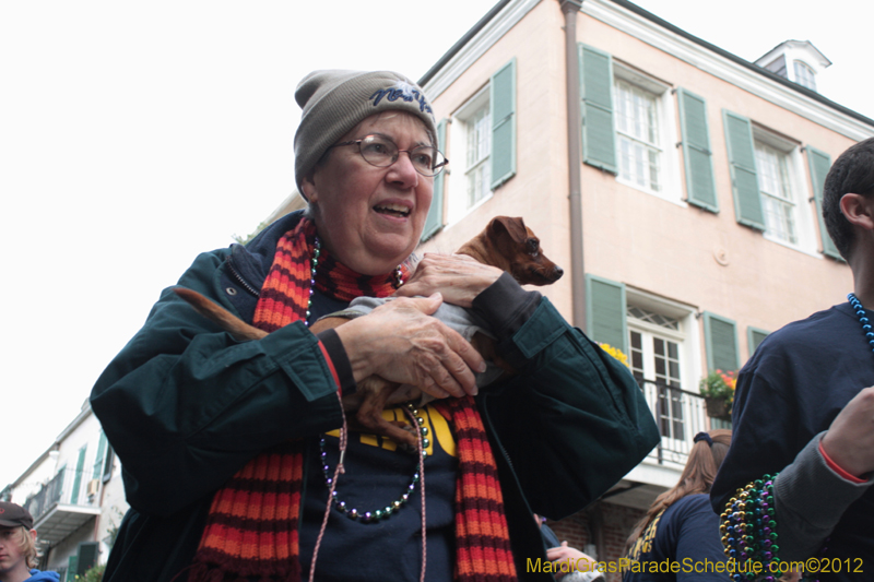 Mystic-Krewe-of-Barkus-2012-0428