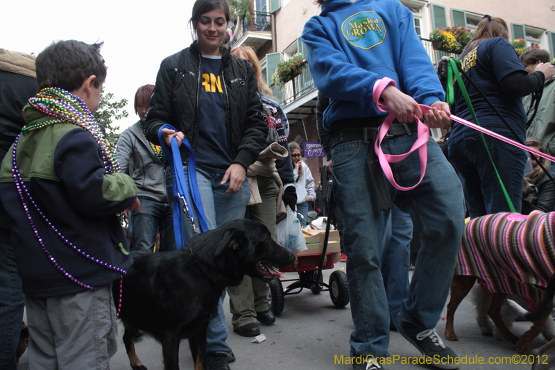 Mystic-Krewe-of-Barkus-2012-0430