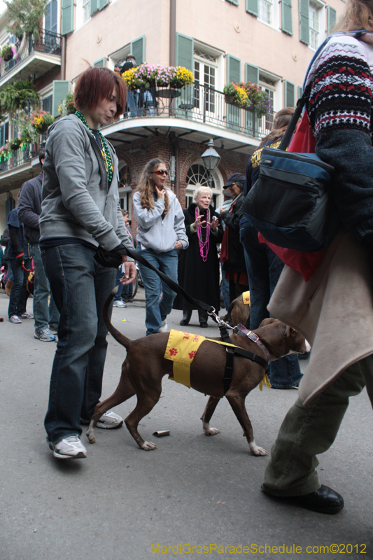 Mystic-Krewe-of-Barkus-2012-0431