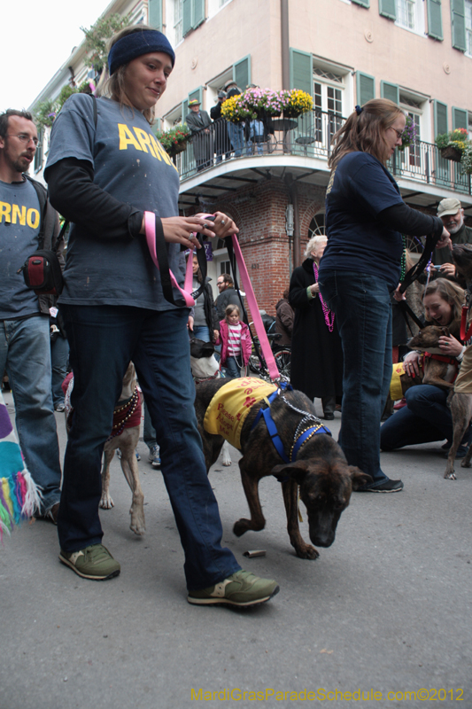 Mystic-Krewe-of-Barkus-2012-0432