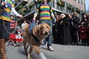 Mystic-Krewe-of-Barkus-2012-0082