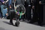 Mystic-Krewe-of-Barkus-2012-0091